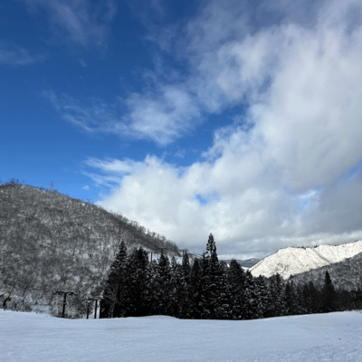 Liatrisのジャケット写真