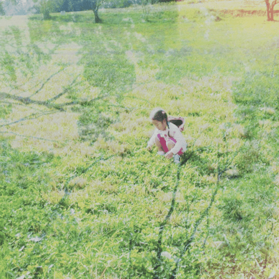 White Clover Front Cover