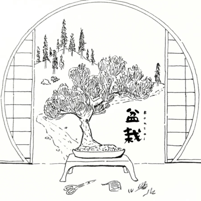 Bonsai Front Cover
