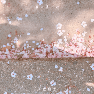 in the middle of spring Front Cover