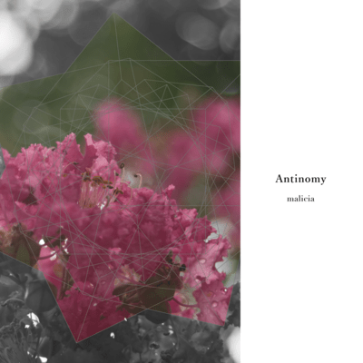 Antinomy Front Cover