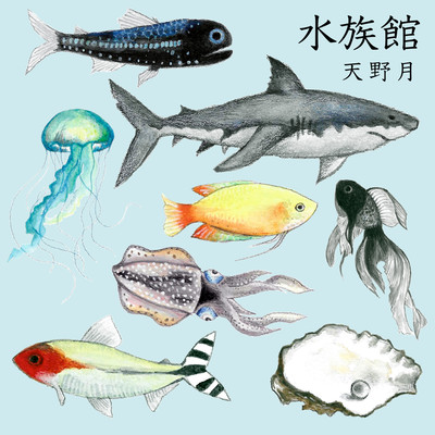 水族館のジャケット写真