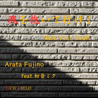 Hold Your Soul ! (feat. HATSUNE MIKU) Front Cover