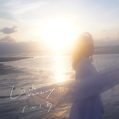 Little runnaway Front Cover