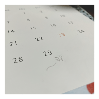 In a leap day Front Cover