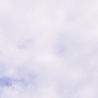 softlyのジャケット写真