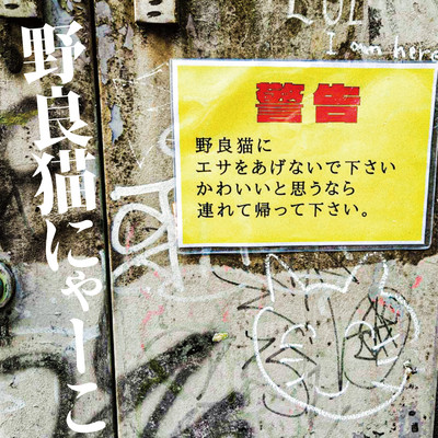 野良猫にゃーこのジャケット写真