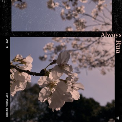 Always Front Cover