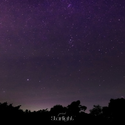 Starlightのジャケット写真