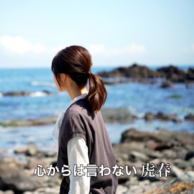 kokorokarahaiwanai Front Cover