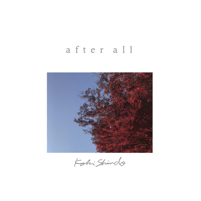 after all Front Cover