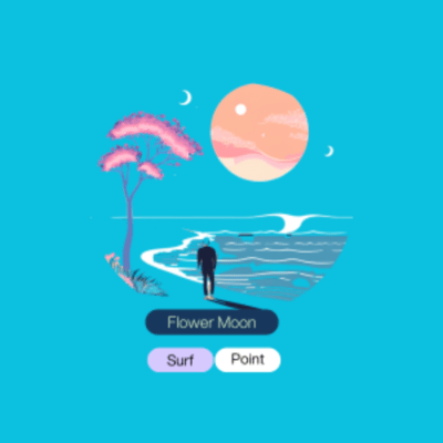 Flower Moon Surf Point Front Cover