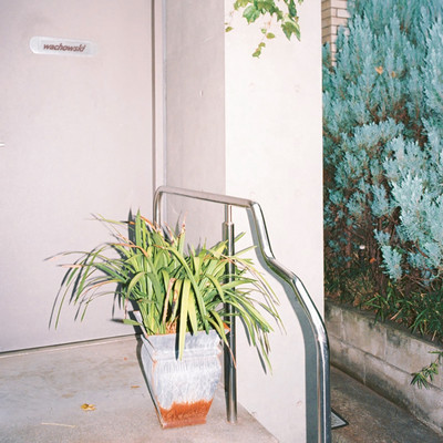 loss Front Cover