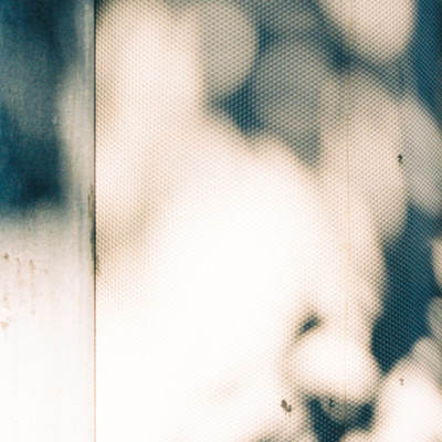 sceneのジャケット写真