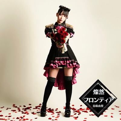 燦然フロンティアのジャケット写真