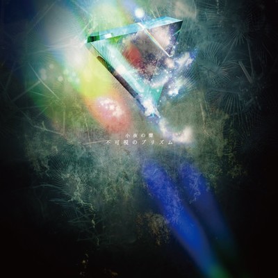 Invisible prism Front Cover