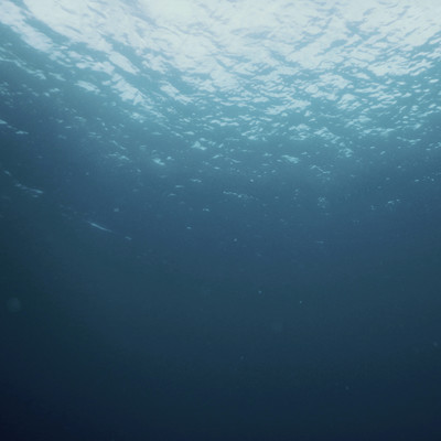 Inner Voxのジャケット写真