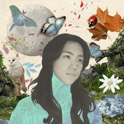 transition Front Cover