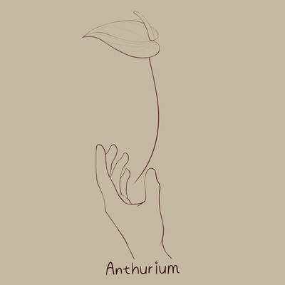 Anthurium Front Cover