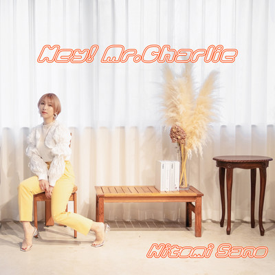 Hey! Mr.Charlie Front Cover