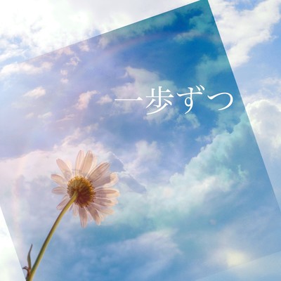 Step by step Front Cover