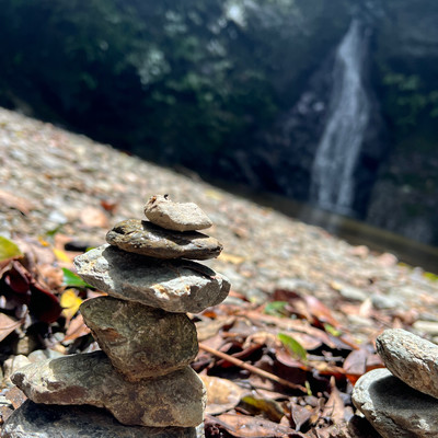 OHAYOのジャケット写真