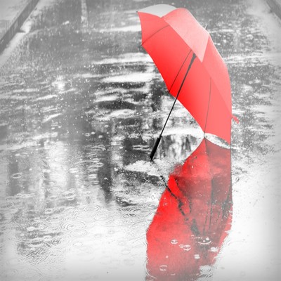 雨が二人の感情を。のジャケット写真