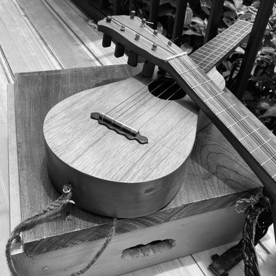 Strum the Jarana Front Cover