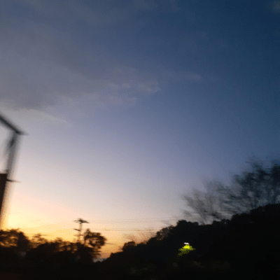 こまったクマゼミ (Spanish Ver.)のジャケット写真