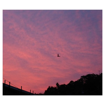 Smoky Stepのジャケット写真