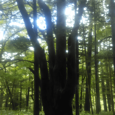 anthology 1 2013-2023のジャケット写真