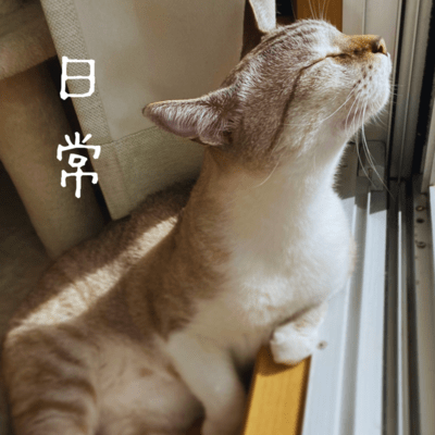 日常のジャケット写真