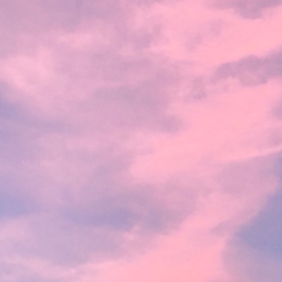 Forget-me-not Front Cover