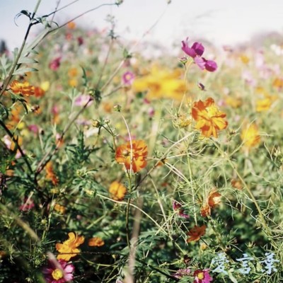 Aikotoba Front Cover