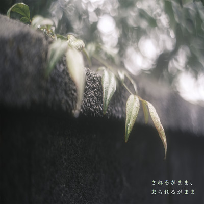 されるがまま、去られるがままのジャケット写真