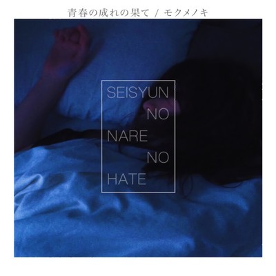 SEISYUN NO NARE NO HATE Front Cover