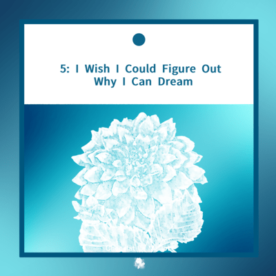5: I Wish I Could Figure Out Why I Can Dream Front Cover