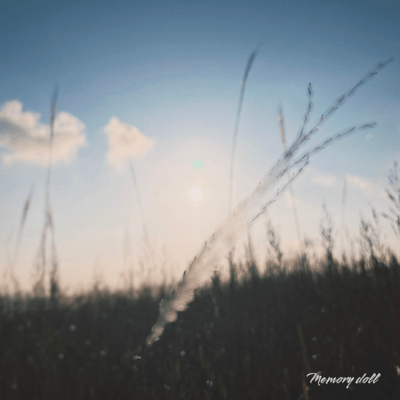 Memory dollのジャケット写真