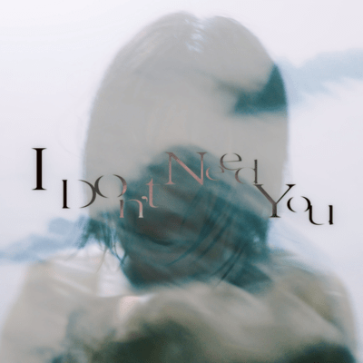 I Don't Need you Front Cover