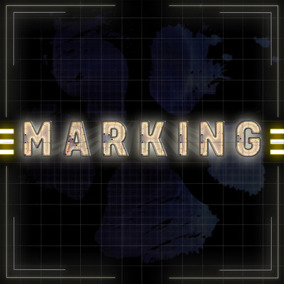 MARKINGのジャケット写真