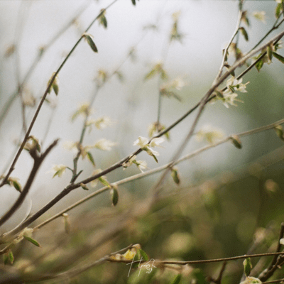 Blue book Front Cover