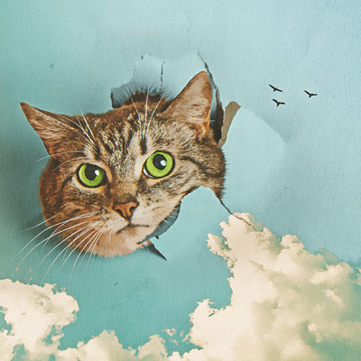 Follow my heart (feat. Kopi) Front Cover