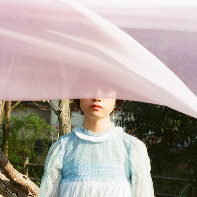 Stand In The Wind Front Cover