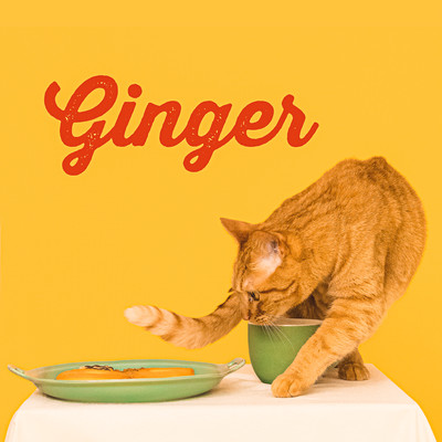 Ginger Front Cover