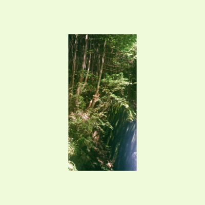 Sour Cream Opinionのジャケット写真