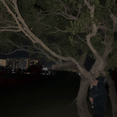 WEKNEWITのジャケット写真