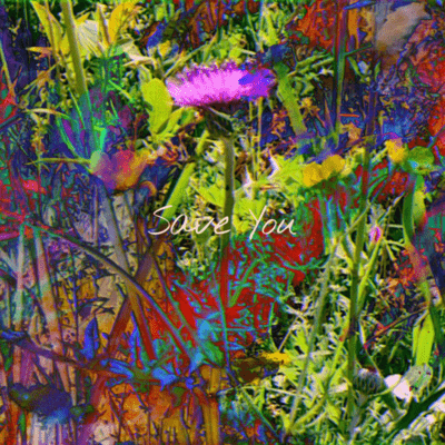 Save You Front Cover