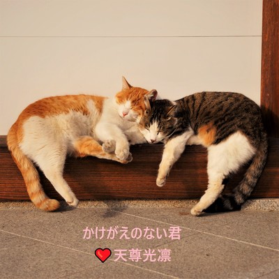 かけがえのない君のジャケット写真