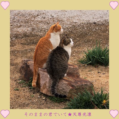 そのままの君でいてのジャケット写真