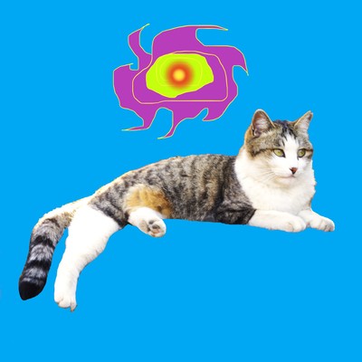 I WANT ALL OF YOU feed back guitar Front Cover